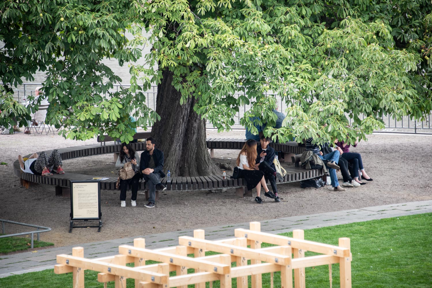 People in a park, sitting next to a large tree. In the forefront a tree construction.
