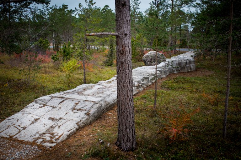 En väg byggd av betong i skogen