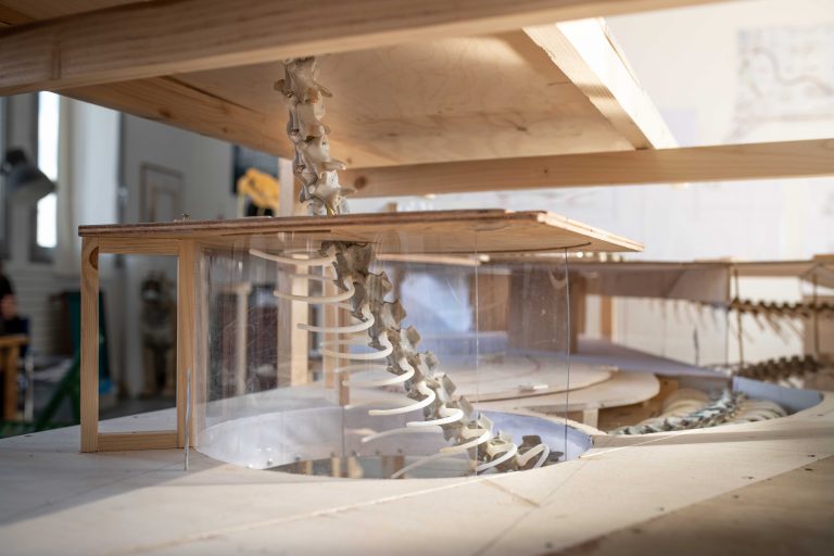 En modell av en byggnad där ett ormskelett som går mellan två våningar.