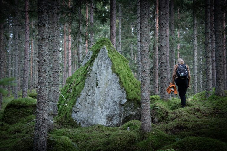 En stor triangelformad sten med mossa på i en skog. En person går till höger om stenan