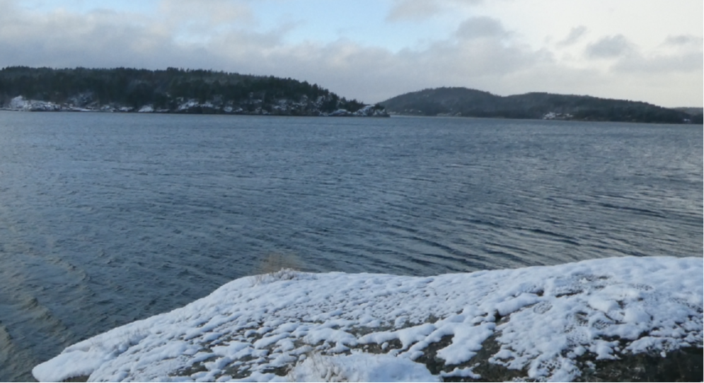 utsikt över sjö på vintern